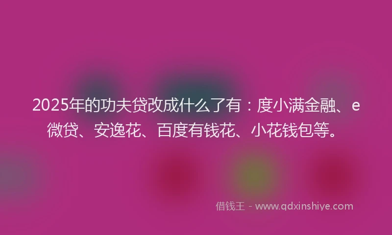 2025年的功夫贷改成什么了有：度小满金融、e微贷、安逸花、百度有钱花、小花钱包等。