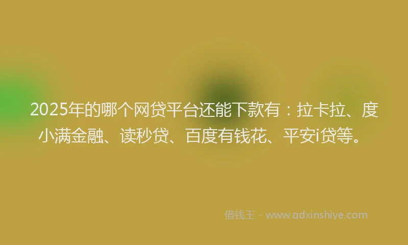 2025年的哪个网贷平台还能下款有：拉卡拉、度小满金融、读秒贷、百度有钱花、平安i贷等。