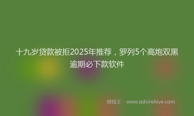 十九岁贷款被拒2025年推荐，罗列5个高炮双黑逾期必下款软件