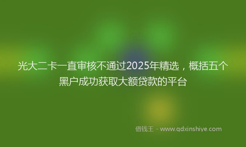 光大二卡一直审核不通过2025年精选，概括五个黑户成功获取大额贷款的平台