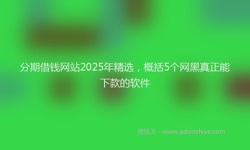 分期借钱网站2025年精选，概括5个网黑真正能下款的软件