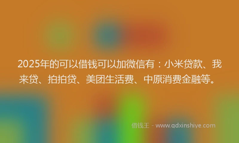 2025年的可以借钱可以加微信有：小米贷款、我来贷、拍拍贷、美团生活费、中原消费金融等。