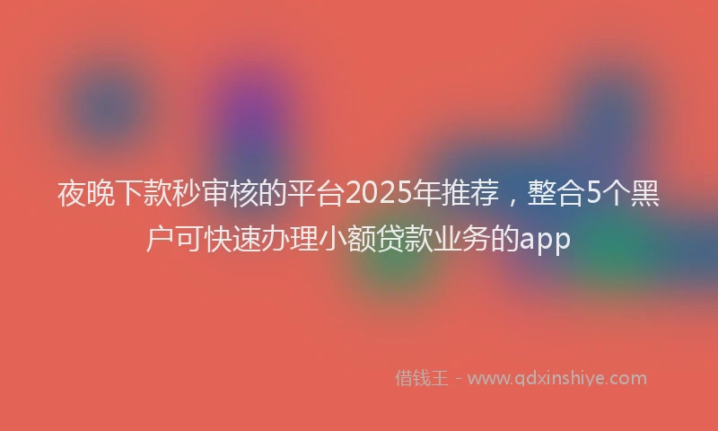 夜晚下款秒审核的平台2025年推荐，整合5个黑户可快速办理小额贷款业务的app