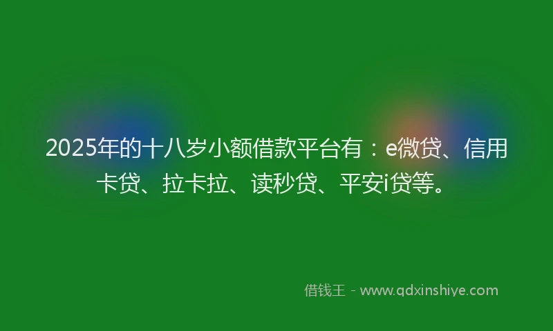 2025年的十八岁小额借款平台有：e微贷、信用卡贷、拉卡拉、读秒贷、平安i贷等。