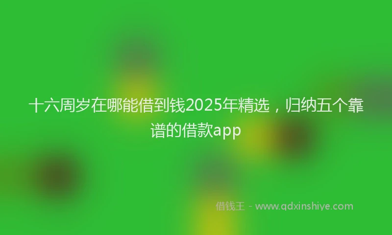 十六周岁在哪能借到钱2025年精选，归纳五个靠谱的借款app