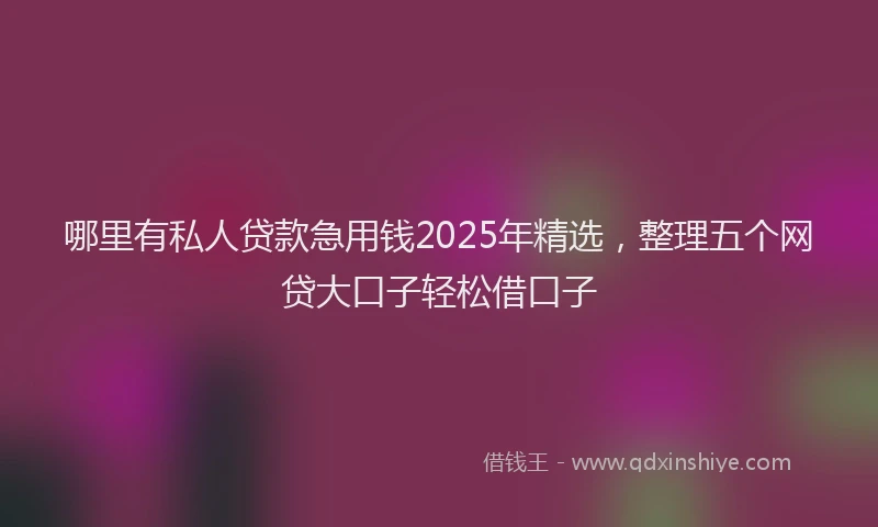 哪里有私人贷款急用钱2025年精选，整理五个网贷大口子轻松借口子
