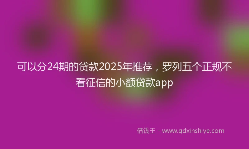 可以分24期的贷款2025年推荐，罗列五个正规不看征信的小额贷款app