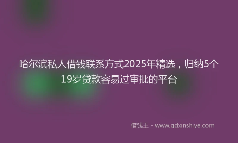 哈尔滨私人借钱联系方式2025年精选，归纳5个19岁贷款容易过审批的平台