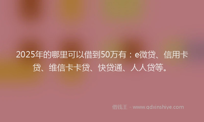 2025年的哪里可以借到50万有：e微贷、信用卡贷、维信卡卡贷、快贷通、人人贷等。
