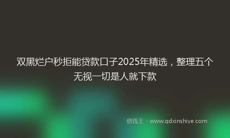 双黑烂户秒拒能贷款口子2025年精选，整理五个无视一切是人就下款