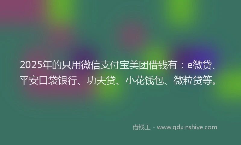 2025年的只用微信支付宝美团借钱有：e微贷、平安口袋银行、功夫贷、小花钱包、微粒贷等。