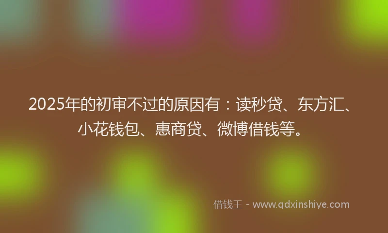 2025年的初审不过的原因有：读秒贷、东方汇、小花钱包、惠商贷、微博借钱等。