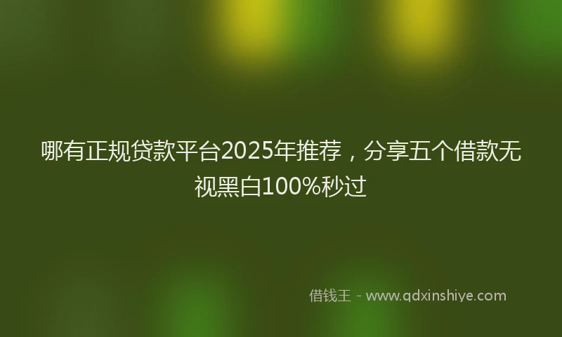 哪有正规贷款平台2025年推荐，分享五个借款无视黑白100%秒过