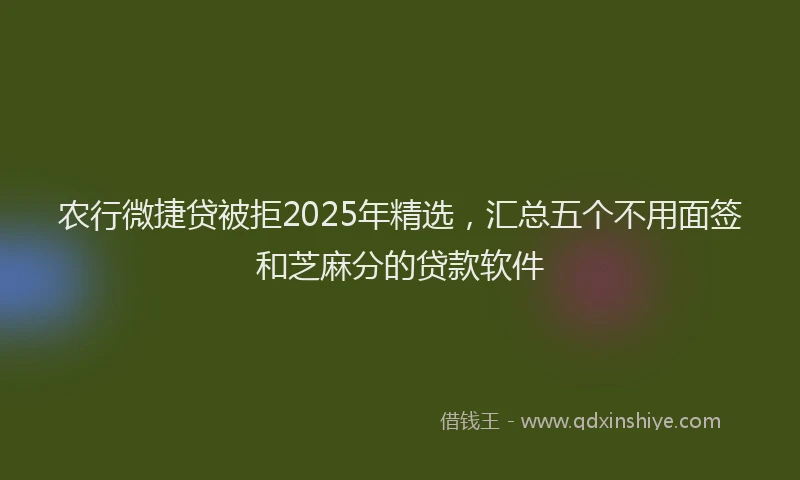农行微捷贷被拒2025年精选，汇总五个不用面签和芝麻分的贷款软件