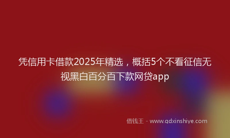 凭信用卡借款2025年精选，概括5个不看征信无视黑白百分百下款网贷app
