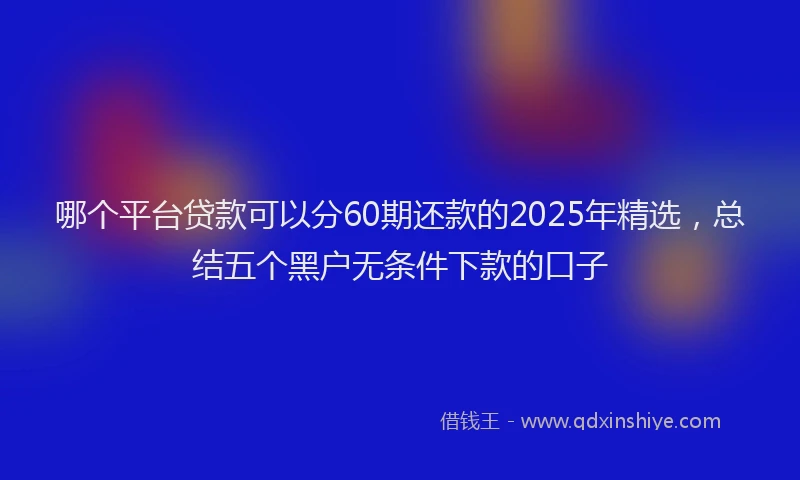 哪个平台贷款可以分60期还款的2025年精选，总结五个黑户无条件下款的口子