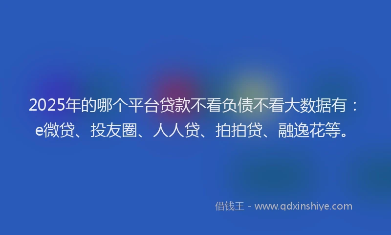 2025年的哪个平台贷款不看负债不看大数据有：e微贷、投友圈、人人贷、拍拍贷、融逸花等。