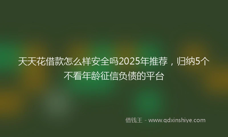 天天花借款怎么样安全吗2025年推荐，归纳5个不看年龄征信负债的平台