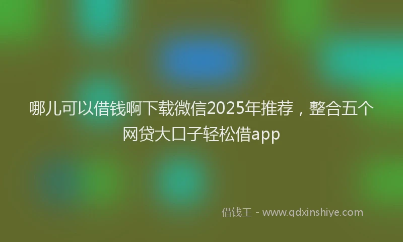 哪儿可以借钱啊下载微信2025年推荐，整合五个网贷大口子轻松借app