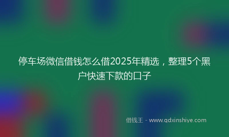 停车场微信借钱怎么借2025年精选，整理5个黑户快速下款的口子