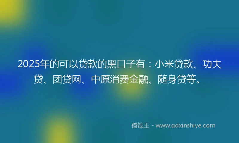2025年的可以贷款的黑口子有：小米贷款、功夫贷、团贷网、中原消费金融、随身贷等。