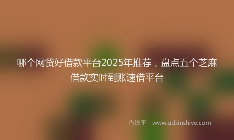 哪个网贷好借款平台2025年推荐，盘点五个芝麻借款实时到账速借平台