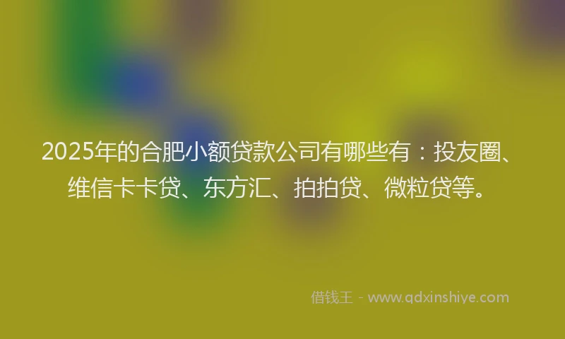 2025年的合肥小额贷款公司有哪些有：投友圈、维信卡卡贷、东方汇、拍拍贷、微粒贷等。
