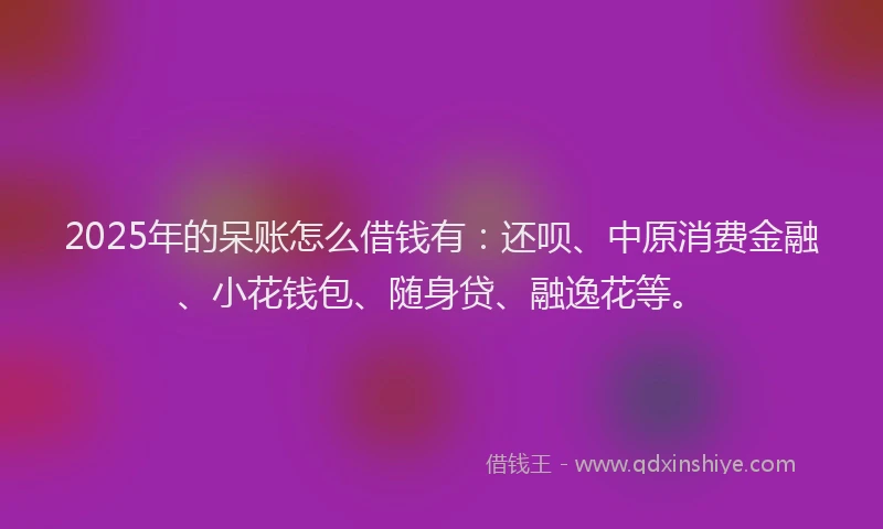 2025年的呆账怎么借钱有：还呗、中原消费金融、小花钱包、随身贷、融逸花等。