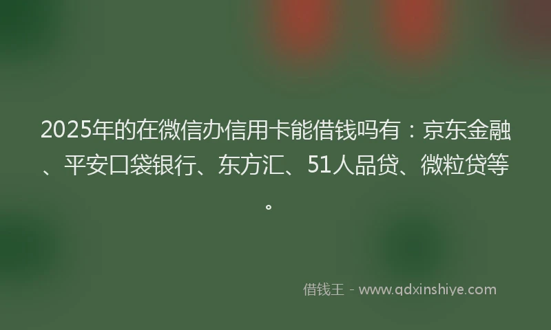 2025年的在微信办信用卡能借钱吗有：京东金融、平安口袋银行、东方汇、51人品贷、微粒贷等。