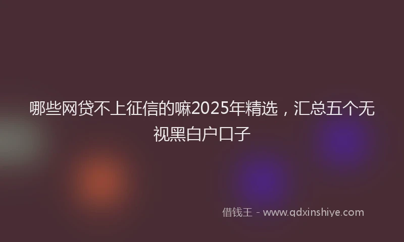 哪些网贷不上征信的嘛2025年精选，汇总五个无视黑白户口子