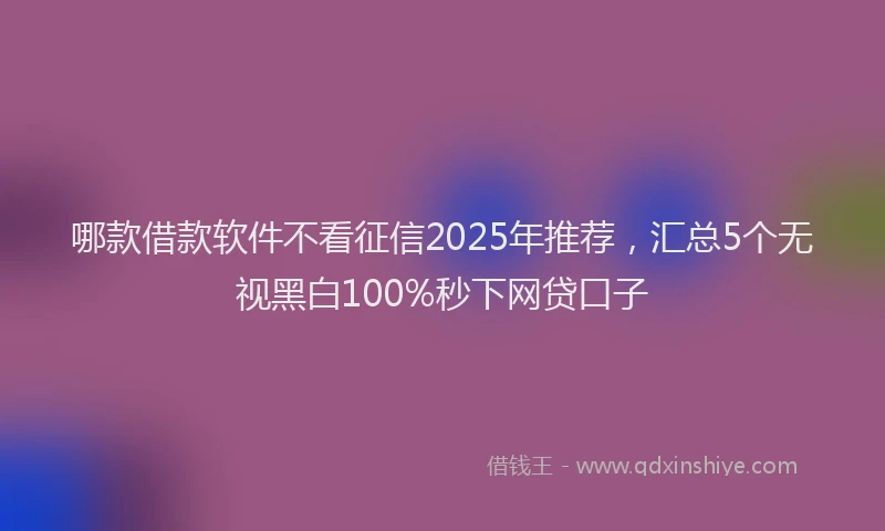 哪款借款软件不看征信2025年推荐，汇总5个无视黑白100%秒下网贷口子