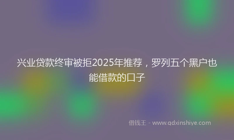 兴业贷款终审被拒2025年推荐，罗列五个黑户也能借款的口子
