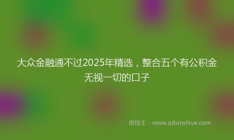 大众金融通不过2025年精选，整合五个有公积金无视一切的口子