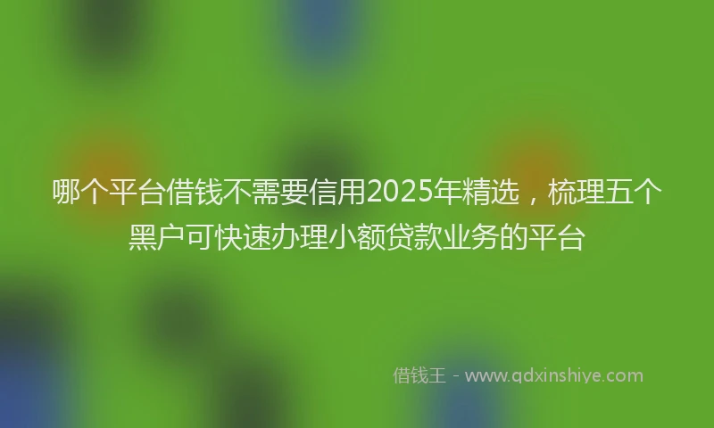 哪个平台借钱不需要信用2025年精选，梳理五个黑户可快速办理小额贷款业务的平台