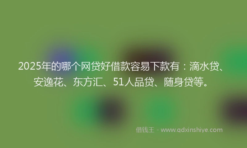 2025年的哪个网贷好借款容易下款有：滴水贷、安逸花、东方汇、51人品贷、随身贷等。