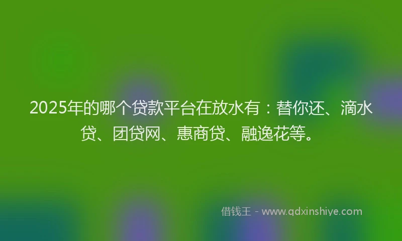 2025年的哪个贷款平台在放水有：替你还、滴水贷、团贷网、惠商贷、融逸花等。