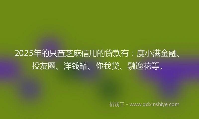 2025年的只查芝麻信用的贷款有：度小满金融、投友圈、洋钱罐、你我贷、融逸花等。