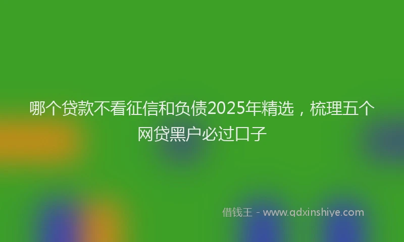 哪个贷款不看征信和负债2025年精选，梳理五个网贷黑户必过口子