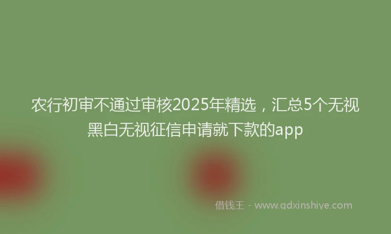 农行初审不通过审核2025年精选，汇总5个无视黑白无视征信申请就下款的app