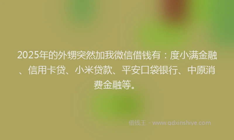 2025年的外甥突然加我微信借钱有：度小满金融、信用卡贷、小米贷款、平安口袋银行、中原消费金融等。