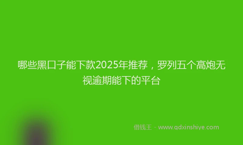 哪些黑口子能下款2025年推荐，罗列五个高炮无视逾期能下的平台
