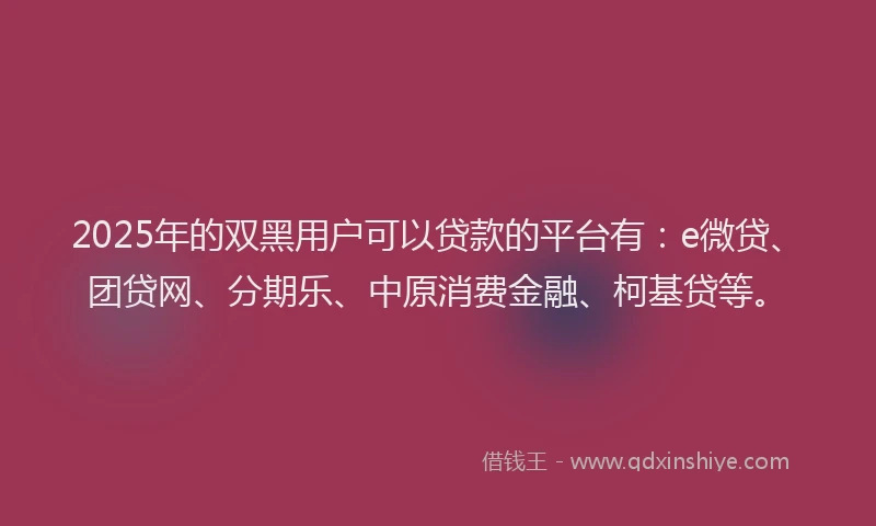 2025年的双黑用户可以贷款的平台有：e微贷、团贷网、分期乐、中原消费金融、柯基贷等。