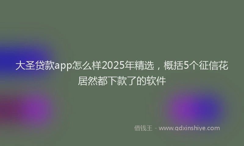 大圣贷款app怎么样2025年精选，概括5个征信花居然都下款了的软件