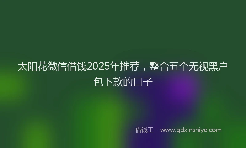 太阳花微信借钱2025年推荐，整合五个无视黑户包下款的口子