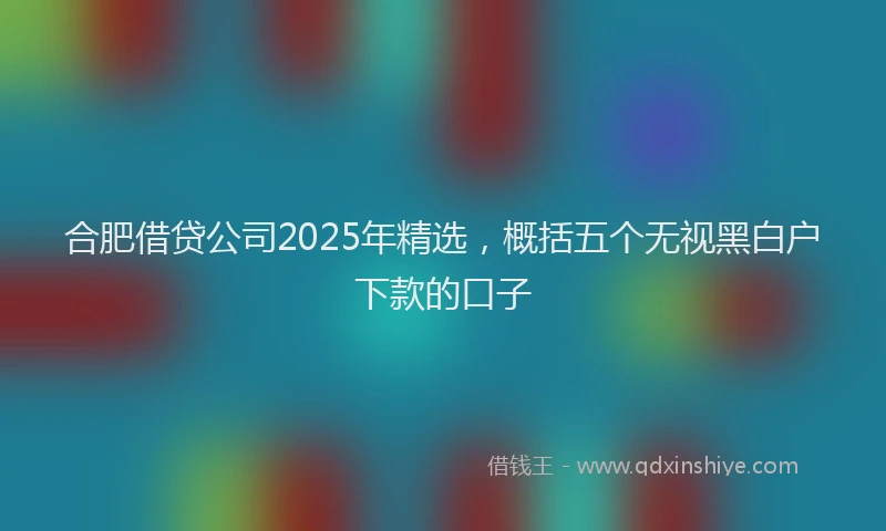 合肥借贷公司2025年精选，概括五个无视黑白户下款的口子