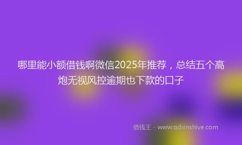 哪里能小额借钱啊微信2025年推荐，总结五个高炮无视风控逾期也下款的口子