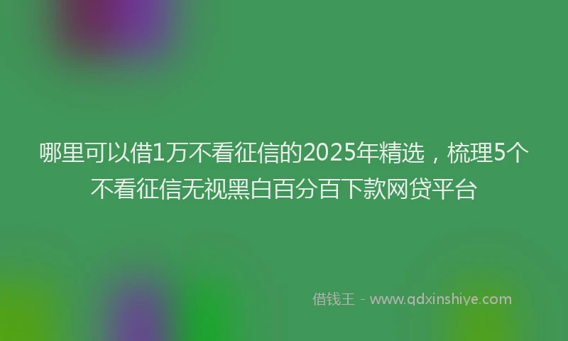 哪里可以借1万不看征信的2025年精选，梳理5个不看征信无视黑白百分百下款网贷平台
