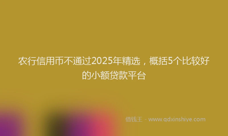 农行信用币不通过2025年精选，概括5个比较好的小额贷款平台