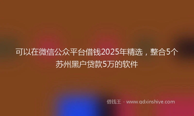 可以在微信公众平台借钱2025年精选，整合5个苏州黑户贷款5万的软件