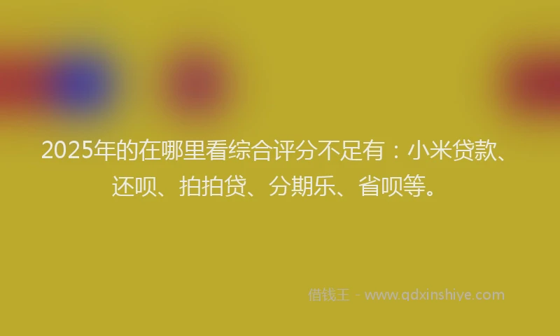 2025年的在哪里看综合评分不足有：小米贷款、还呗、拍拍贷、分期乐、省呗等。